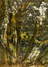 Janowskie Forest (Lasy Janowskie) - Archival Pigment on Hahnemühle Torchon paper / ed5