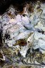 'Coccoloba uvifera Sea Grape (Jun-Jul)' - Archival pigment on Hahnemühle Torchon paper