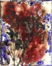 'Ruselia equisetformis (Aug-Sept)' - Archival pigment on Hahnemühle Torchon paper