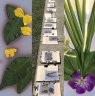 Lumen prints workshop, Redlands College, April 2017. - 