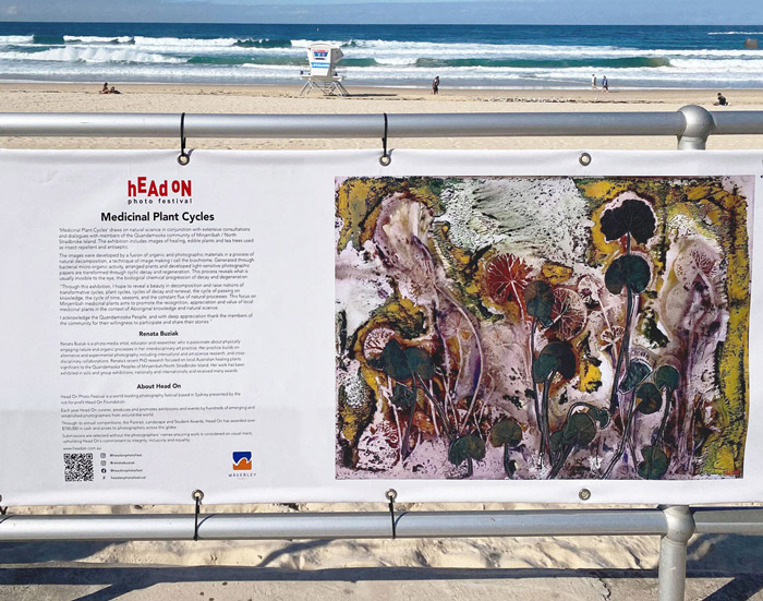 Exhibition at Bondi Beach